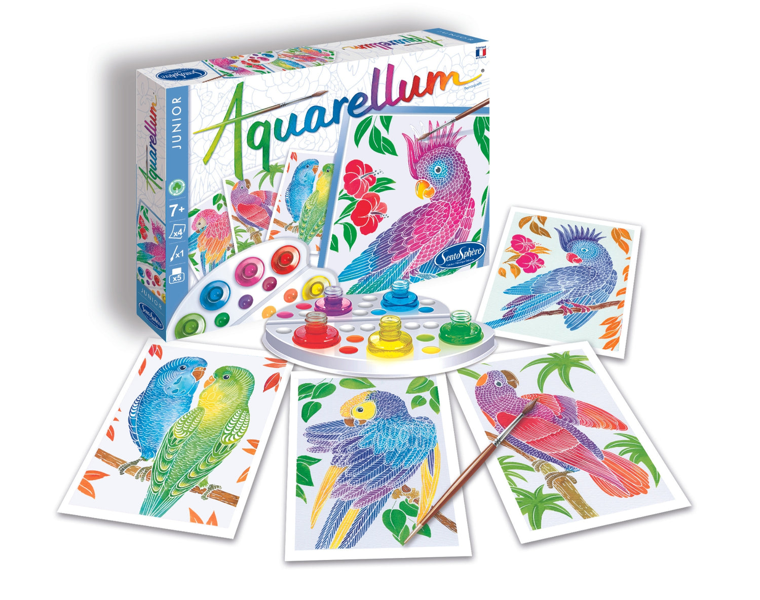 Képek - Aquarellum Junior - Papagájok