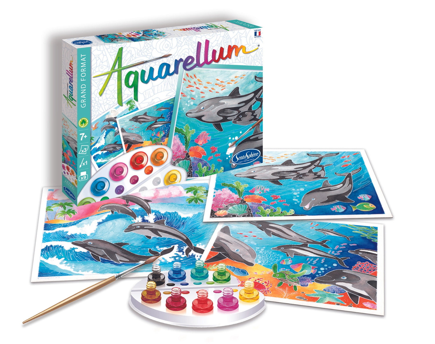 Aquarellum - Delfinek