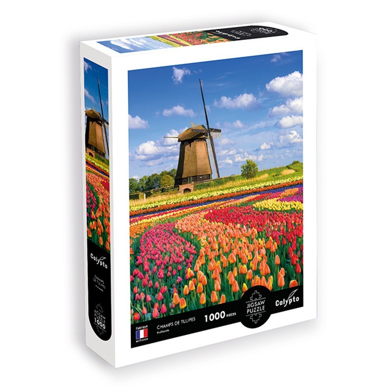 Puzzle 1000 darab - Tájkép - Tulipánmezők - Hollandia