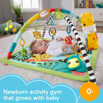 Fisher-Price - 3 v 1 Senzorična gimnastika Deževni gozd (HJW08)