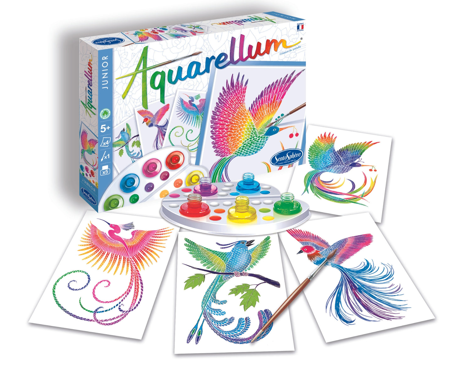 Aquarellum - Madarak